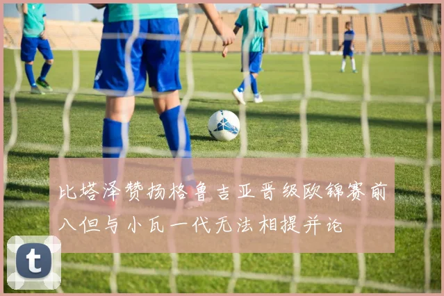 比塔泽赞扬格鲁吉亚晋级欧锦赛前八但与小瓦一代无法相提并论