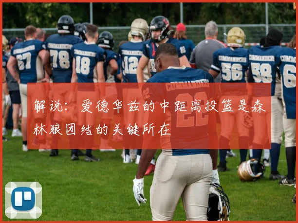 解说：爱德华兹的中距离投篮是森林狼团结的关键所在