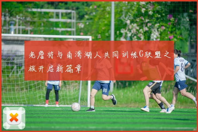 老詹将与南湾湖人共同训练G联盟之旅开启新篇章