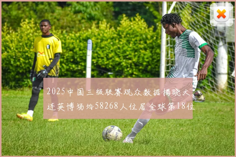 2025中国三级联赛观众数据揭晓大连英博场均58268人位居全球第18位